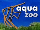AQUAZOO POZNAN, Fish keeping Exhibition