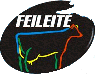 FEILEITE