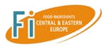FI CENTRAL & EASTERN EUROPE
