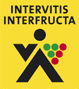 INTERVITIS INTERFRUCTA RUSSIA