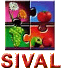 SIVAL 2013, French Agricultural Trade Show (Vine and Wine)