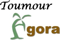 TOUMOUR AGORA 2013, Date Palm International Fair