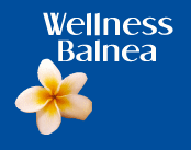 WELLNESS BALNEA 2013, International Trade Fair for Wellness, Equipment, Medical and Rehabilitative technology, Regeneration and Spa