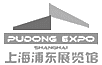 Pudong Expo