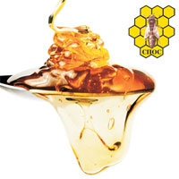 GOVERNMENTAL BEEKEEPING FAIR