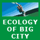 ECOLOGY OF BIG CITY